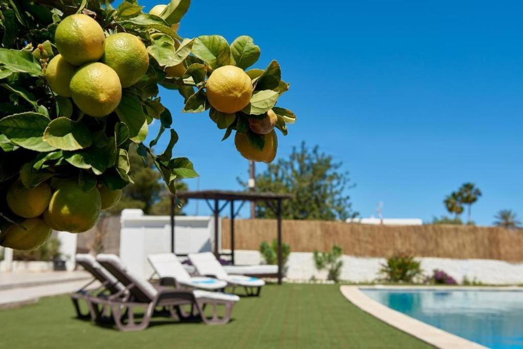 The Lovely Villa Ibiza Bagian luar foto